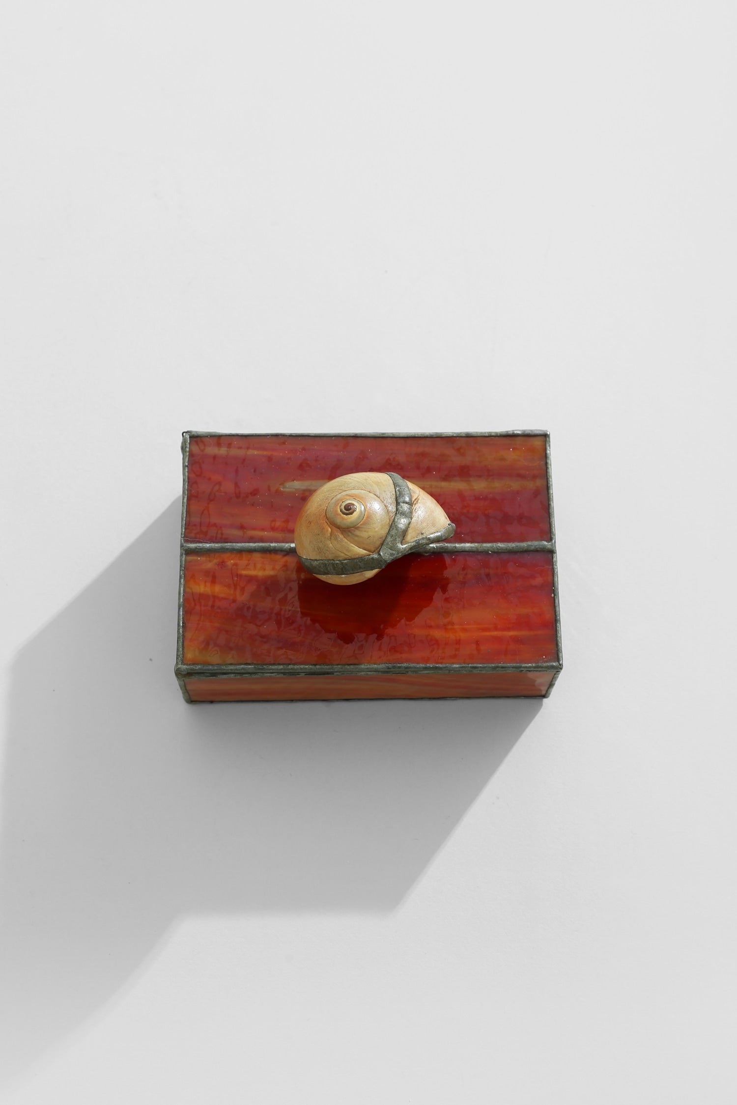 Spiral Shell Glass Jewelry Box — top view on white background