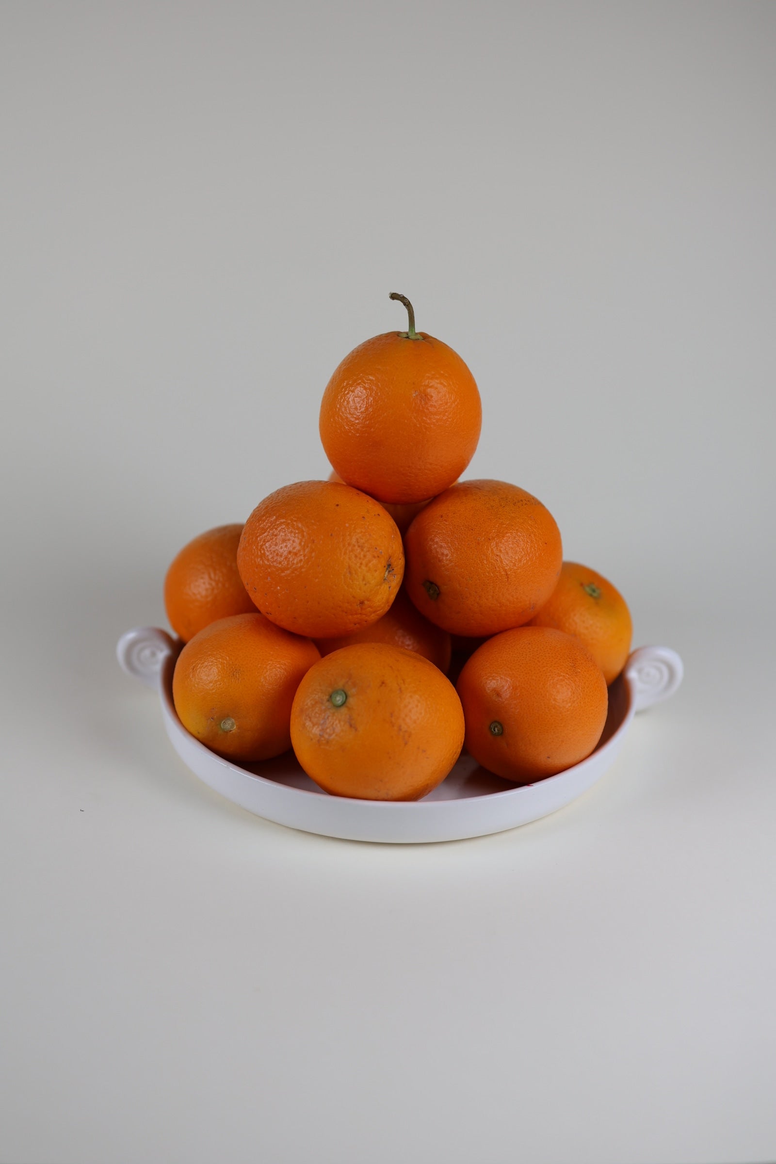 Aries White Plate with Horns