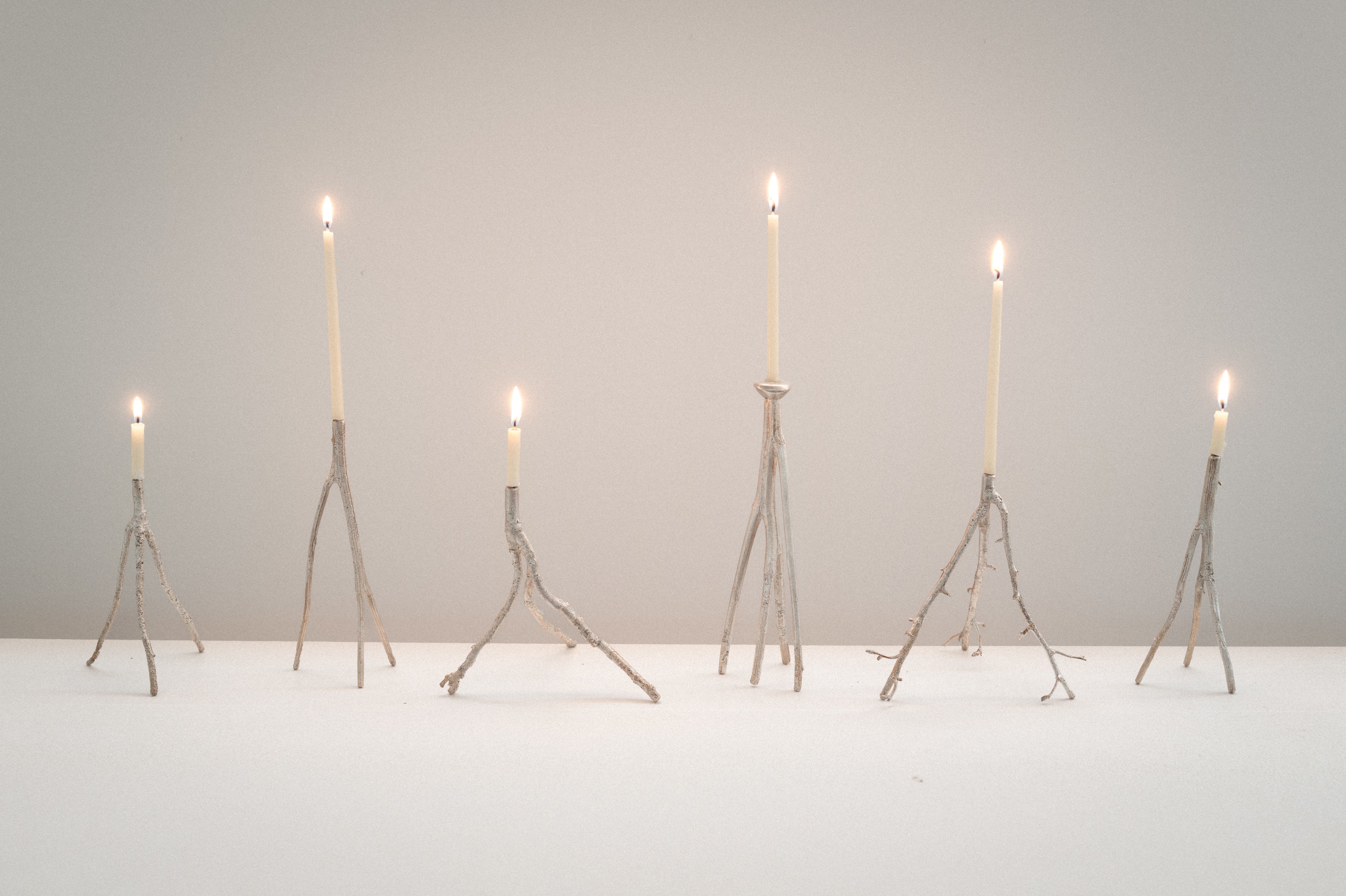 Botanical Candle Holders in Brass and Silver — detail view