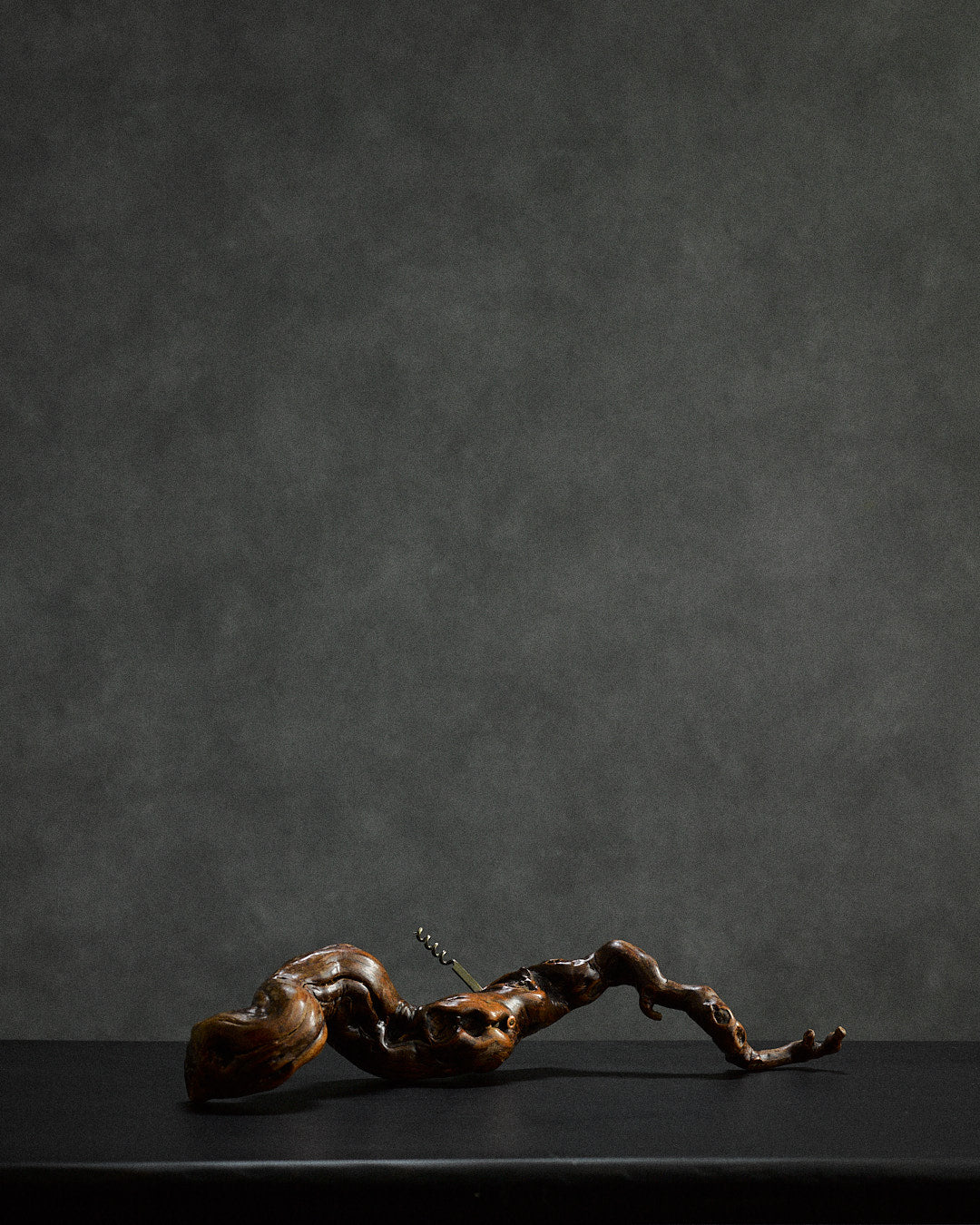 oversized vine root corkscrew — angled view on dark surface