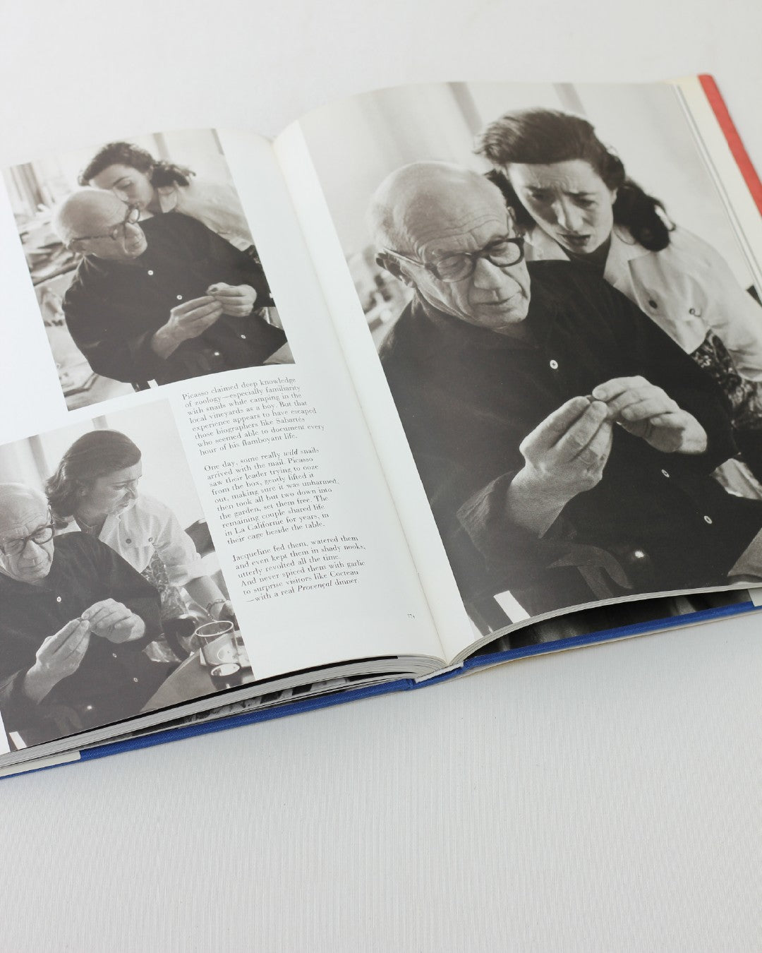 Picasso and Jacqueline — open book on white fabric background