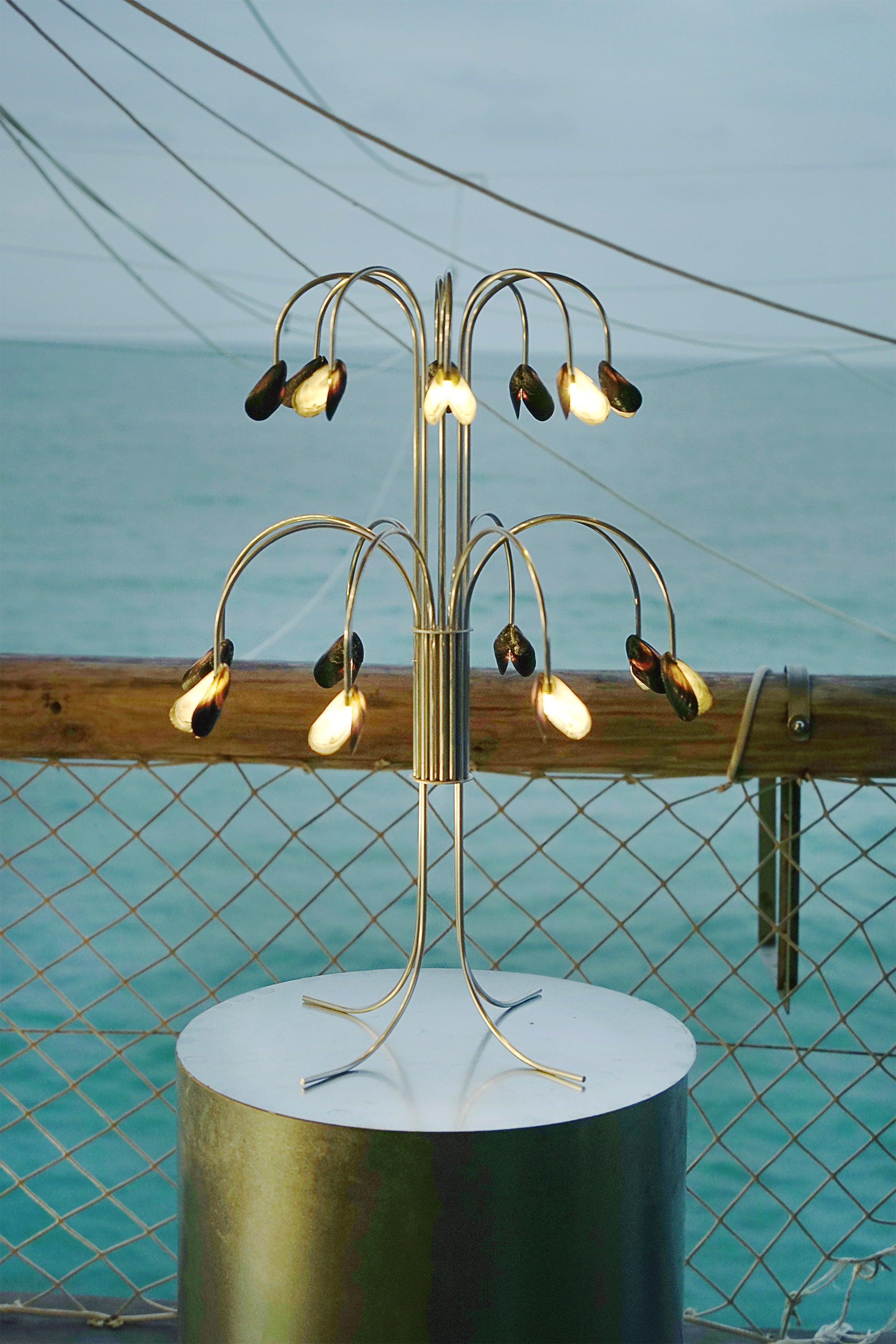 Shell Light — additional view