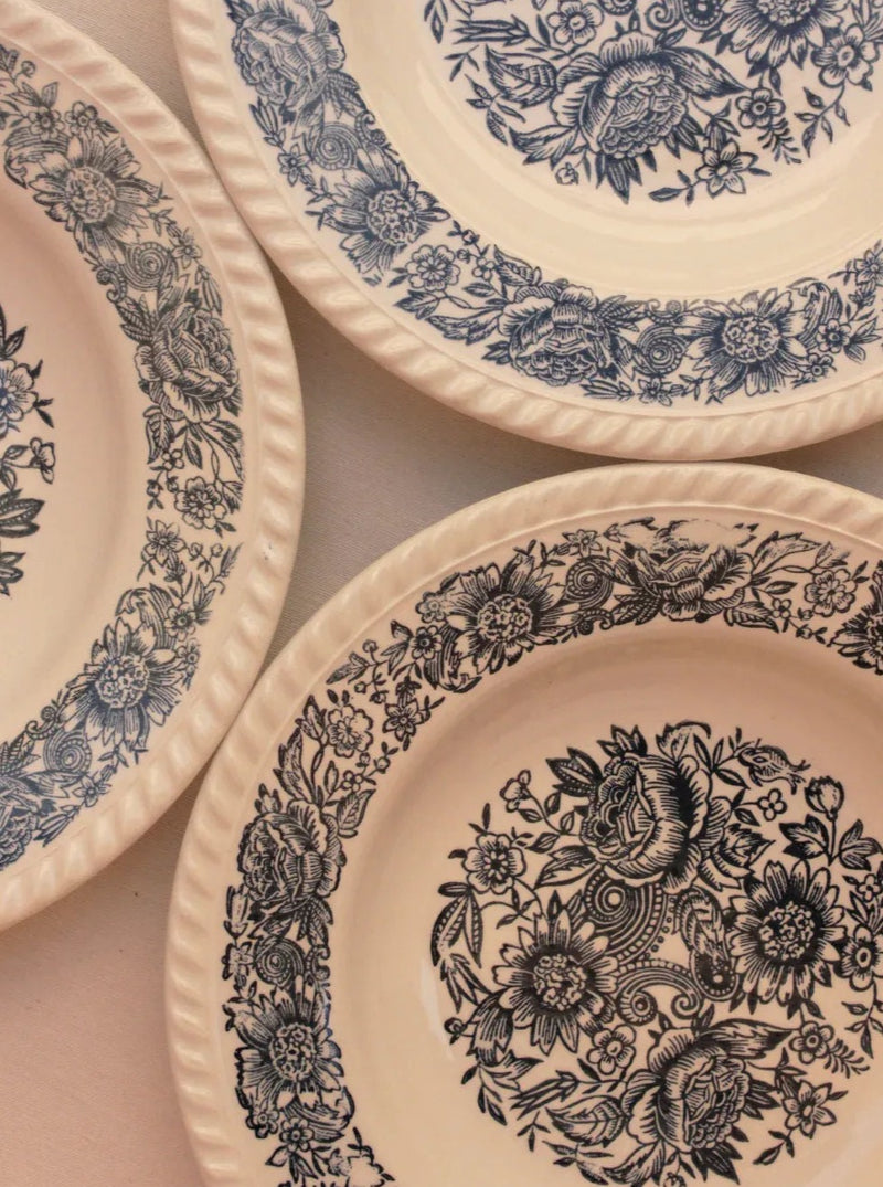 Elegant white porcelain plates with gold trim and scalloped edges