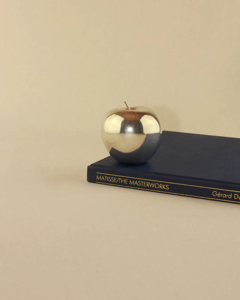 Handcrafted silver apple sculpture with intricate details and smooth finish