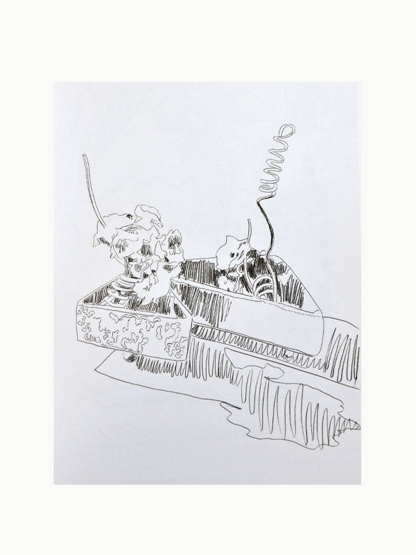 Art Books Andy Warhol Flower Drawings 1974 Maison Plage
