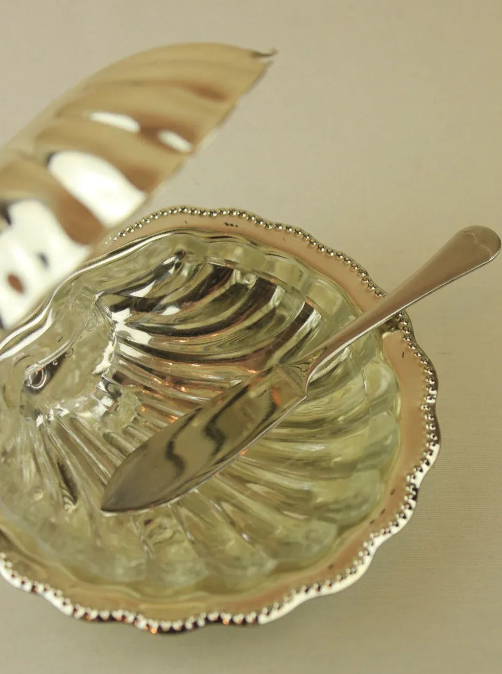 Boga Shell Shell Shaped Butter Dish by Boga Avante Shop | The Oblist