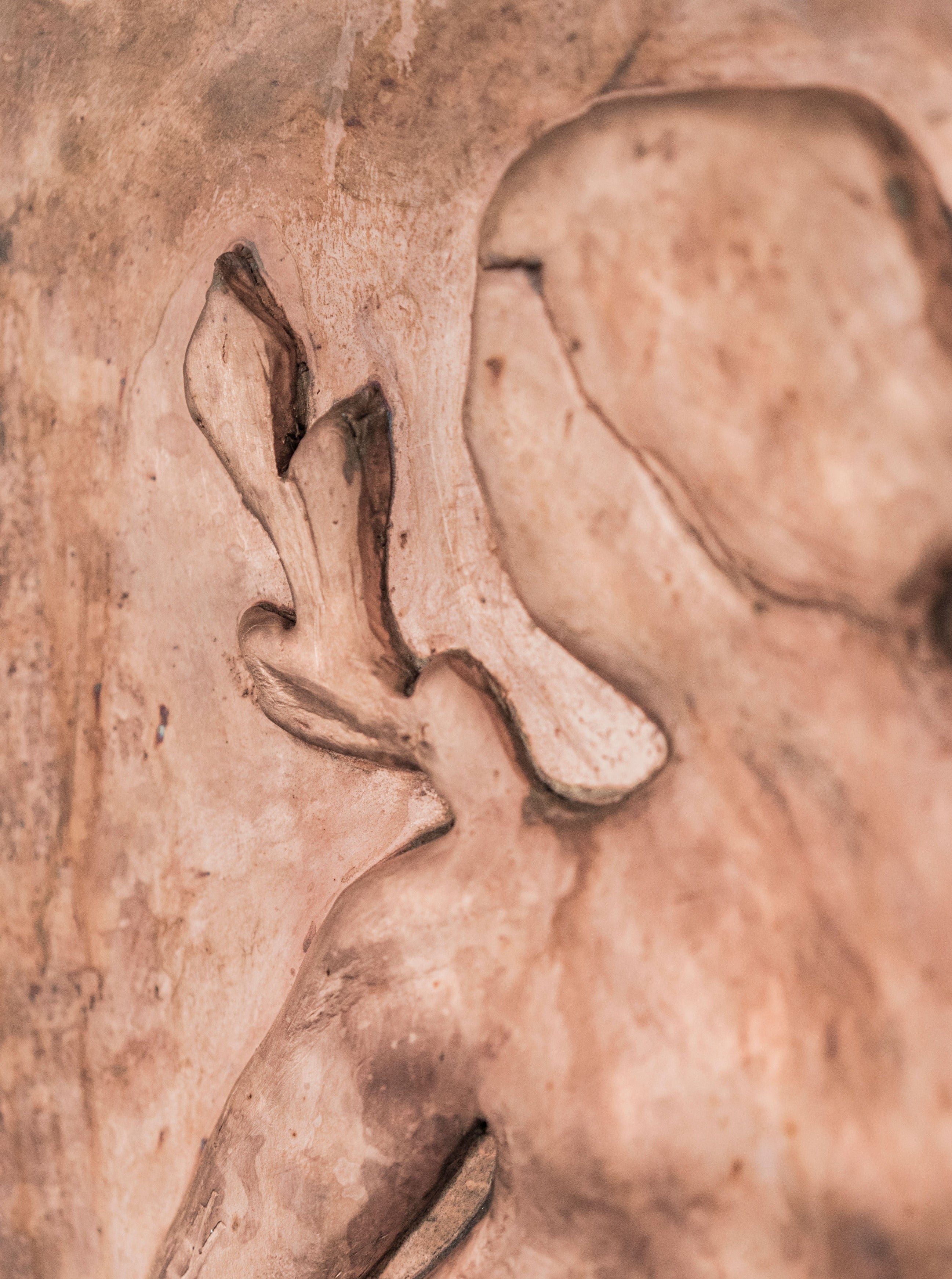 Close-up of an embossed copper wall sculpture with natural, abstract shapes resembling a petal or leaf-like form, in warm beige tones - Woman with Laurel leaves by Rooms Studio.