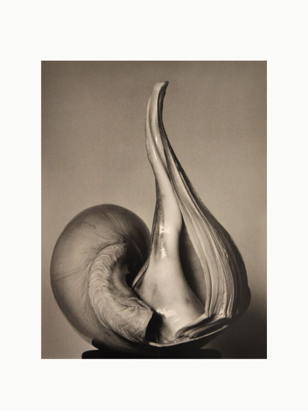 Edward Weston's Iconic Photography Book - The Oblist