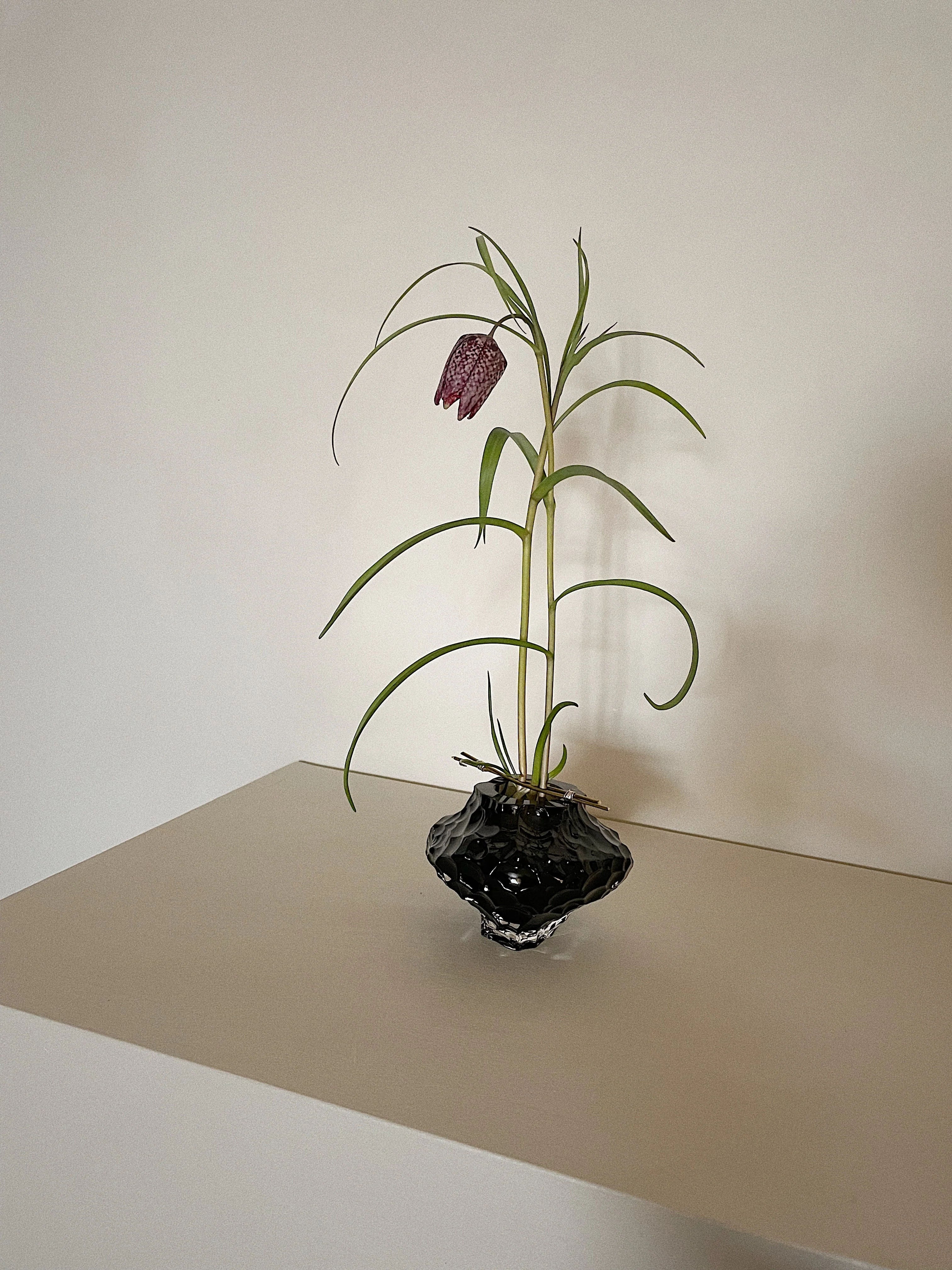 A sculptural black Canyon Vase - Mini - New Smoke by Hein Studio on a table with an elegantly arching plant featuring long slender leaves and a single dark purple, checkered flower. The setting is minimalistic with a neutral background.