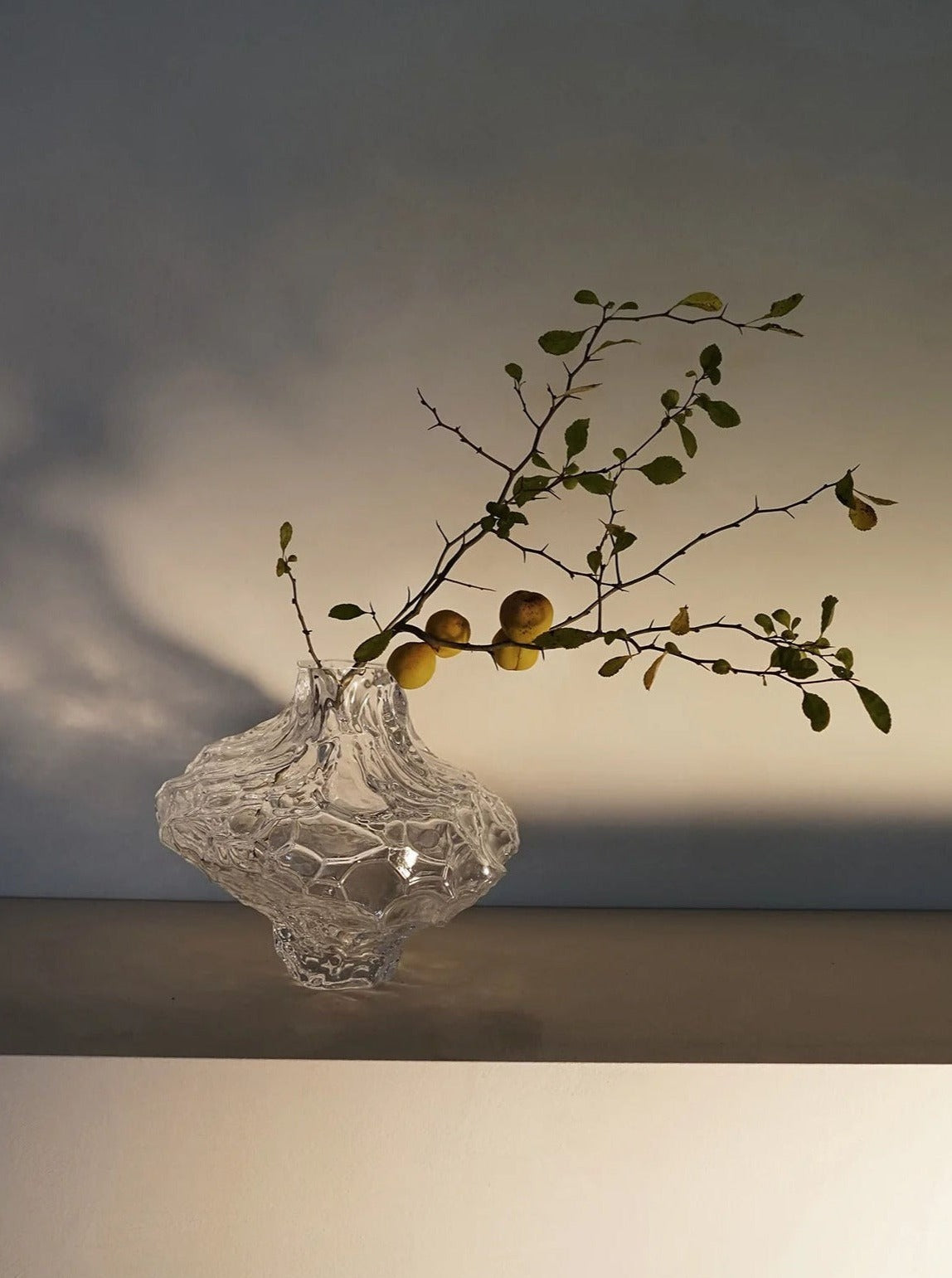 Vases Canyon Vase - Large - Clear Hein Studio