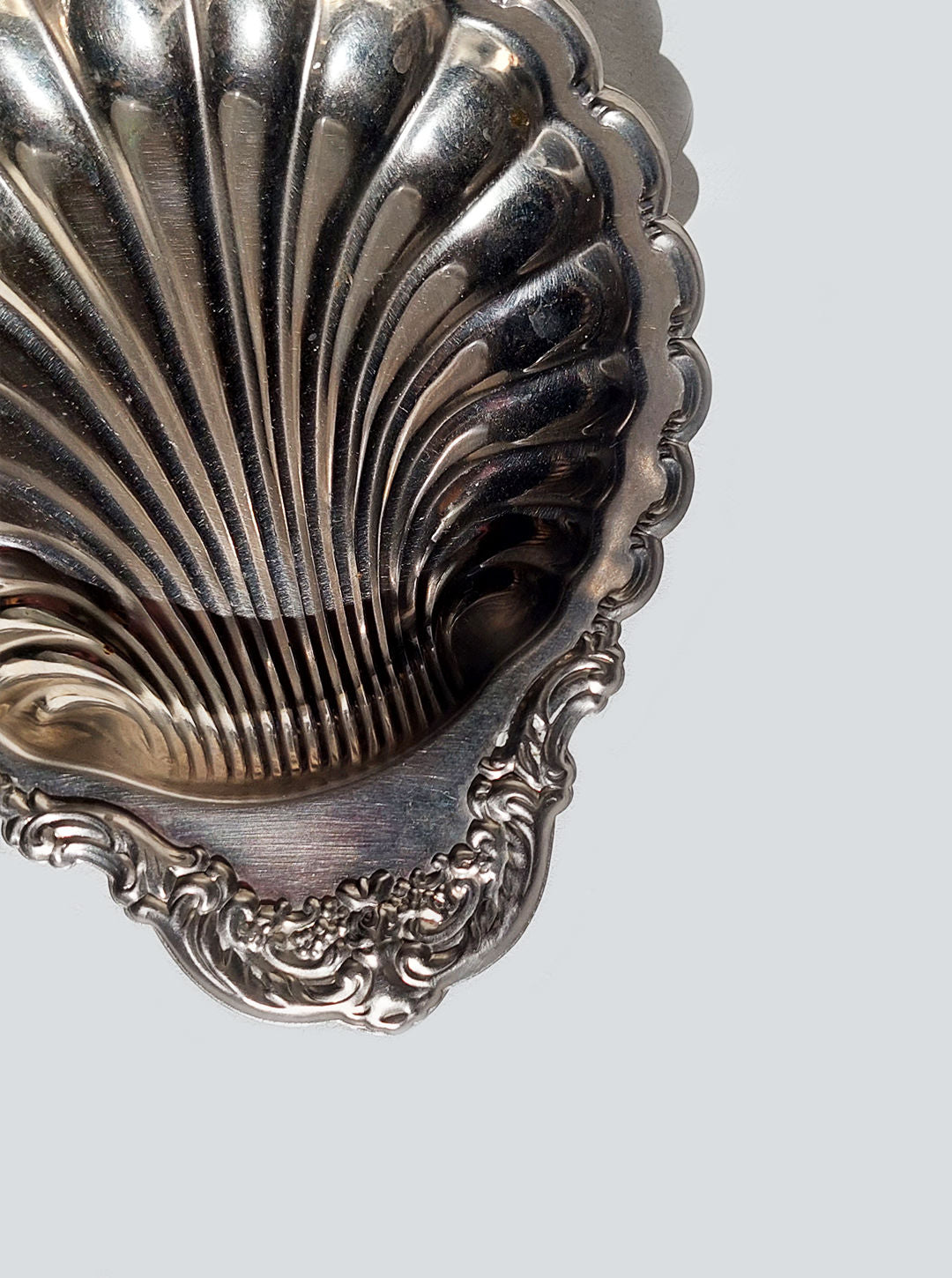 Chic and stylish shell shaped dish for keeping personal items organized