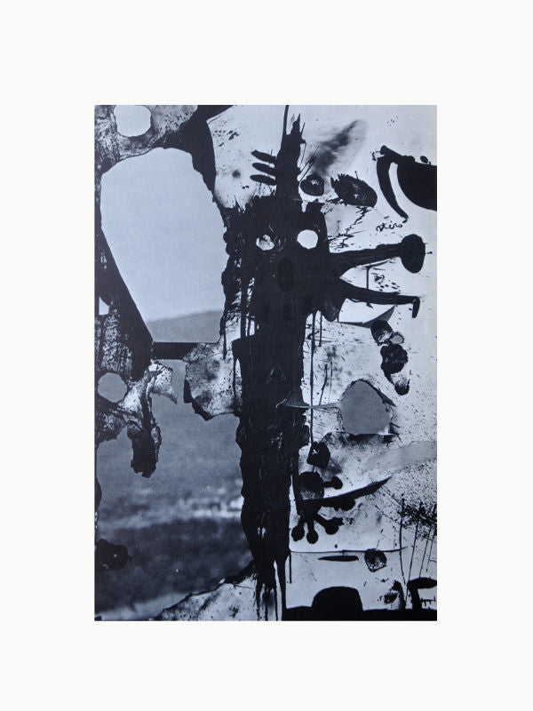 Art Books Joan Miro: Catalog of the Grand Palais Exhibition Maison Plage