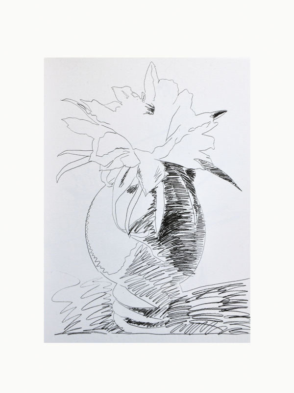 Art Books Andy Warhol Flower Drawings 1974 Maison Plage