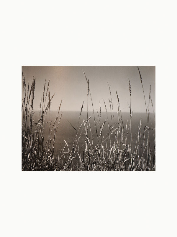 Edward Weston's Iconic Photography Book - The Oblist