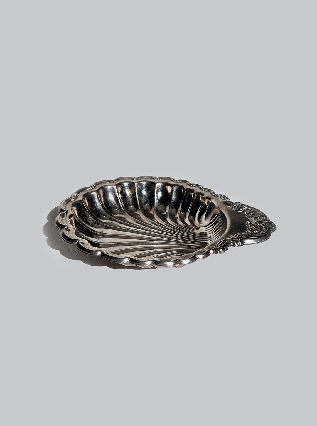 Decorative shell-shaped tray for organizing everyday essentials